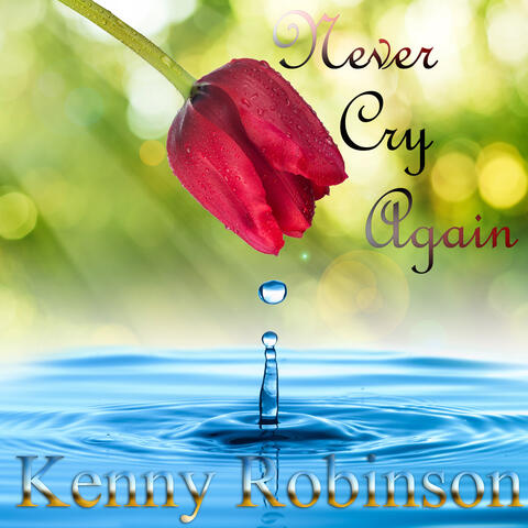Never Cry Again