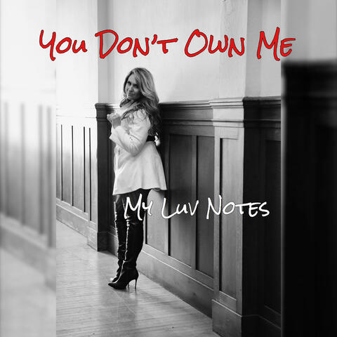 You Don't Own Me