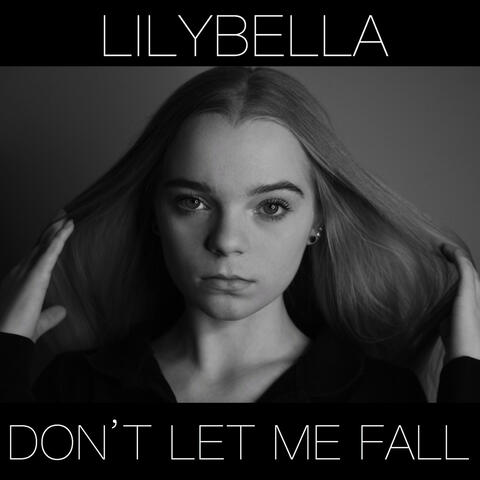 Don't Let Me Fall