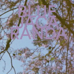 Blue Jacaranda (Sweet Tea)