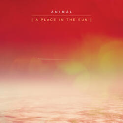 A Place in the Sun