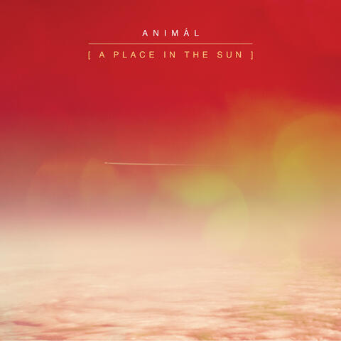 A Place in the Sun