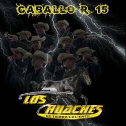 Caballo R-15
