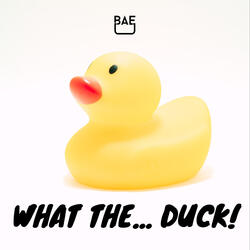What the Duck