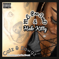 Catz n Dawgz