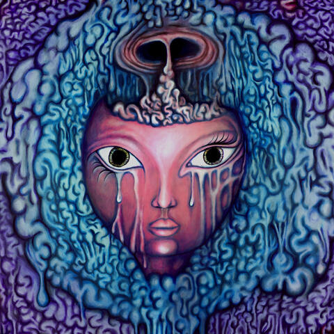 Faecalibrium