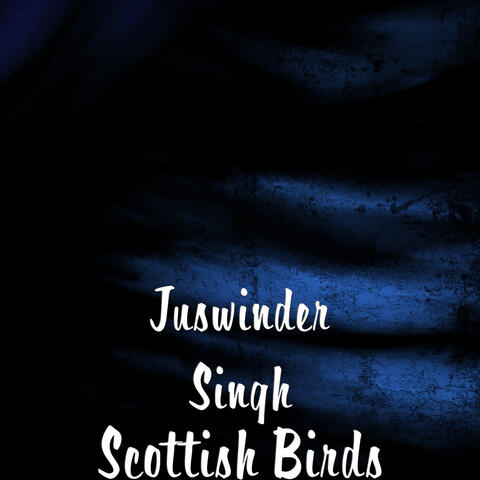 Scottish Birds