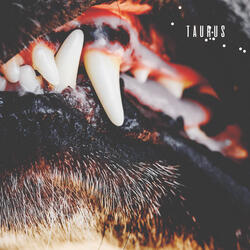 Taurus