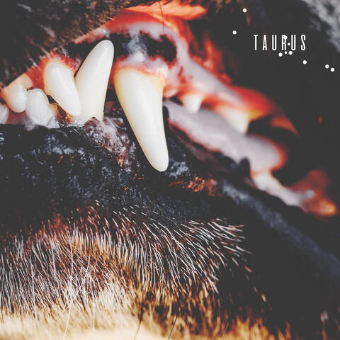 Taurus