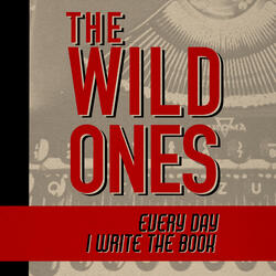 Every Day I Write the Book