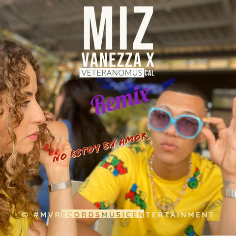 No Estoy en Amor (Remix)