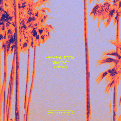 Never Stop Singing (Remix)