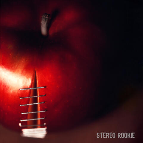 Stereo Rookie