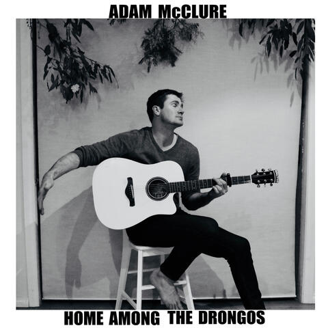 Home Among the Drongos