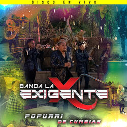 Y te Vi Con el y las Dos Hectáreas (En Vivo)