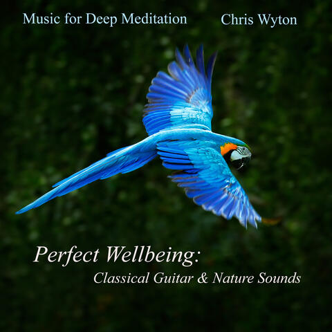 Perfect Wellbeing: Classical Guitar & Nature Sounds