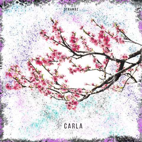 Carla