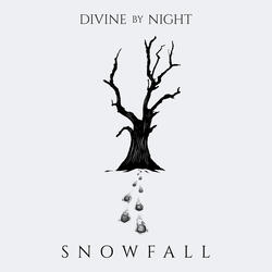 Snowfall