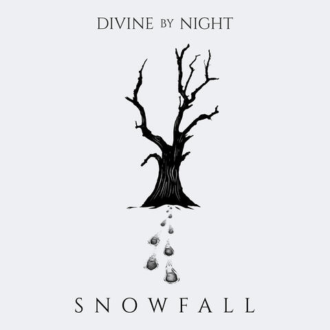 Snowfall