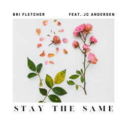 Stay the Same