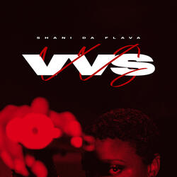 Vvs
