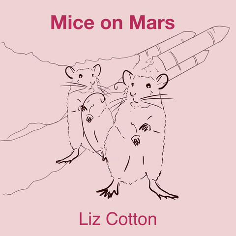 Mice on Mars