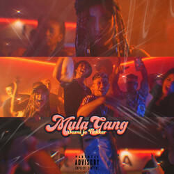 Mula Gang