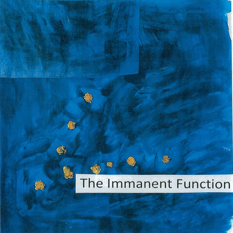 The Immanent Function