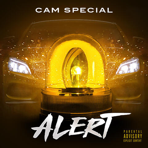 Alert