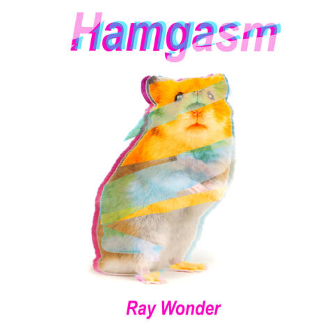 Hamgasm