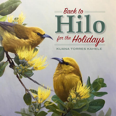 Back to Hilo for the Holidays