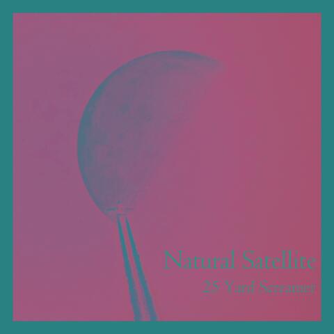 Natural Satellite