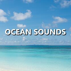 Dynamic Oceanfront Beach Waves