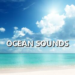 Unsurpassed Meditative Ocean Sounds