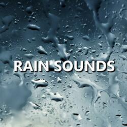 Fresh Sundown Rain Sounds