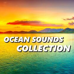 Ocean Sound Effects