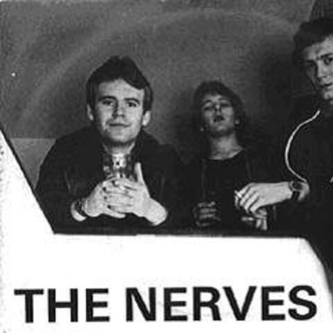 The Nerves