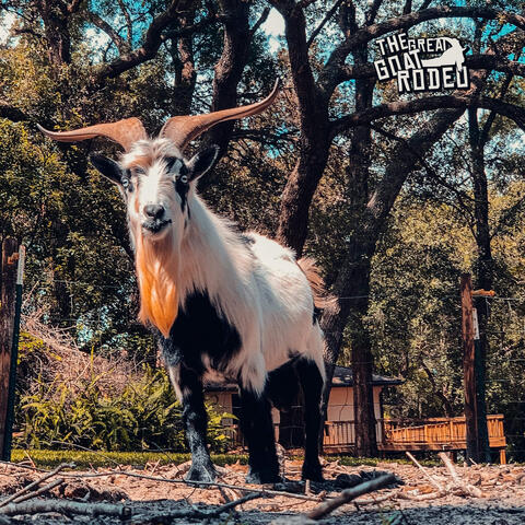The Great Goat Rodeo