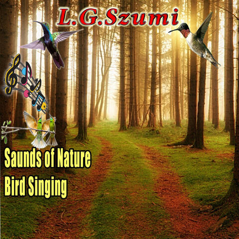 Saunds of Nature Bird Singing
