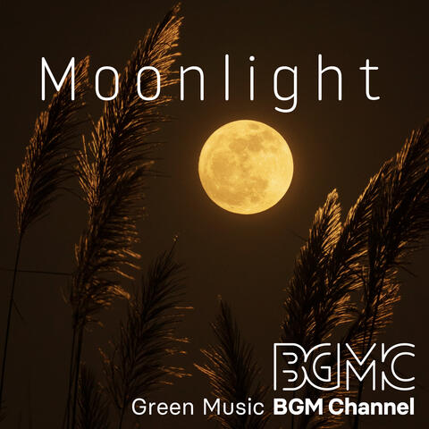 Moonlight