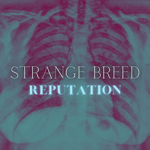 Reputation