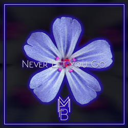 Never Let You Go