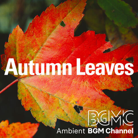 Autumn Leaves