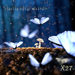 Butterfly Winds