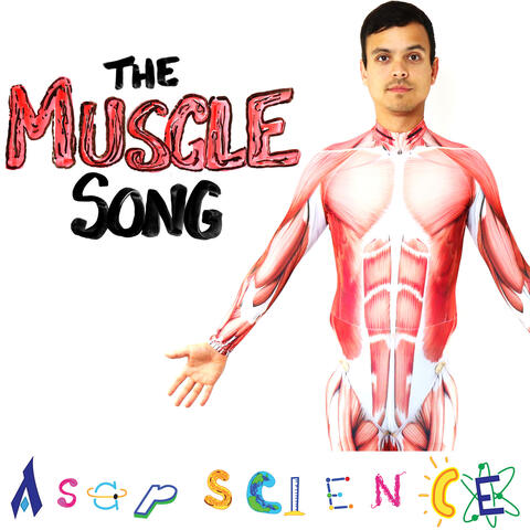 The Muscle Song