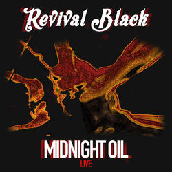 Midnight Oil (Live)