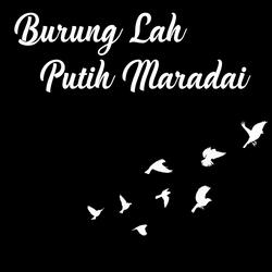 Burung Lah Putih Maradai