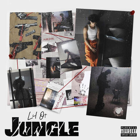 Jungle
