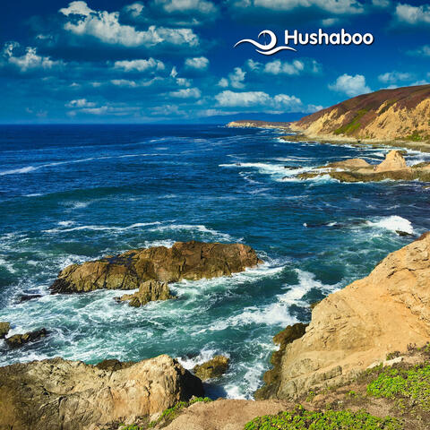 Bodega Bay Trailhead Warm Ocean Waves