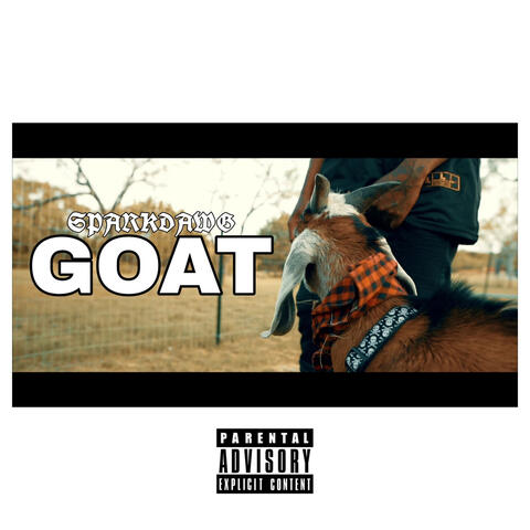 Goat